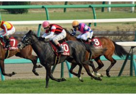 JRA中山記念（G2）確信の「3点」勝負！「現場ネタ」が導く「究極の4頭」とは