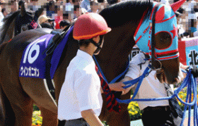 中京記念（G3）はグレーターロンドン不要!? 「極秘ネタ」から少点数で”穴配当”狙い!!