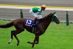 大阪杯ヤマカツエースに宿る池添親子の”野望”。父が導き出した「至高の馬体」と息子が編み出した「究極の競馬」が”鬼門”の仁川で開花する