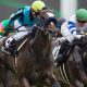 武豊エアスピネルが「G2通算100勝」達成なるか! マイラーズC(G2)で新マイル王を目指すエアスピネルが「絶対に」出走してほしい馬とは