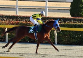 JRA福永祐一「イン突き」!? フェブラリーS（G1）ユラノト「得意な型」に持ち込めば……