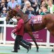 武豊「31年ぶり」に池添謙一ら大迷惑!? ルメールと一緒に「暑すぎて……」