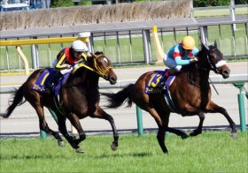 実力はアーモンドアイ以上？ JRA史に残る「最強マイル女王」は社台グループが母を410万円で手放したあの馬