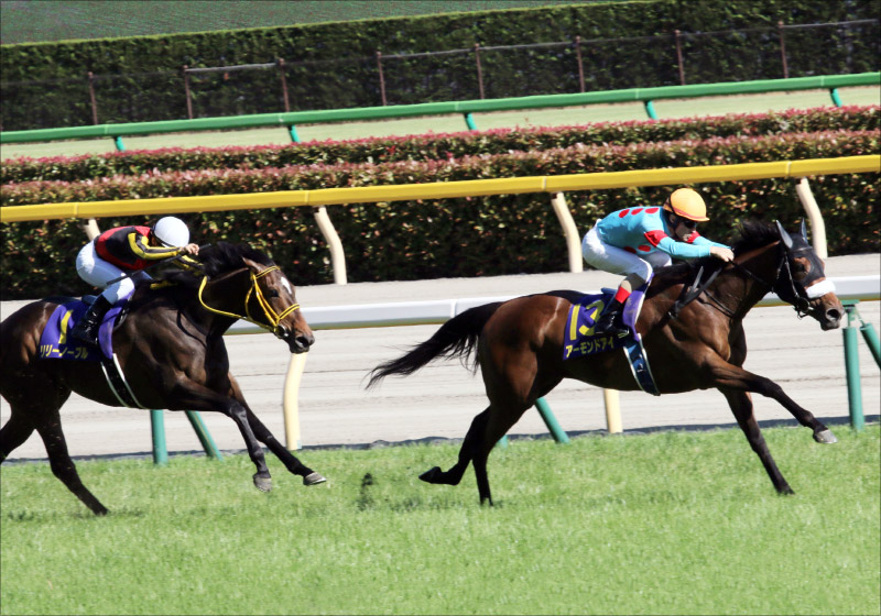 JRA「アーモンドアイのライバル」リリーノーブル引退……あわやのオークス、再戦叶わずの画像2