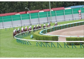 JRA新人騎手「181戦0勝」の絶望……斎藤新、岩田望来ら「超ハイレベル新人」に飲まれ、デビューイヤー未勝利の危機