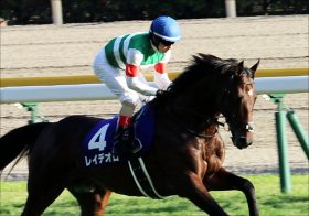 JRA ・C.ルメール「覚醒」の大器ソルドラード8馬身差圧勝！ 秋の大舞台へレイデオロ弟が「またも」“秘密兵器”導入で素質開花！