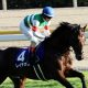 JRA東京新聞杯(G3)レイエンダ「ベストは……」!? 東京巧者もC.スミヨン騎手の気になる発言