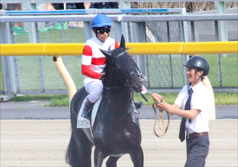 JRA毎日王冠(G2)ダノンキングリー不要の「究極2点」勝負! 的中を確信させる「強力現場ネタ」で挑む!!の画像1