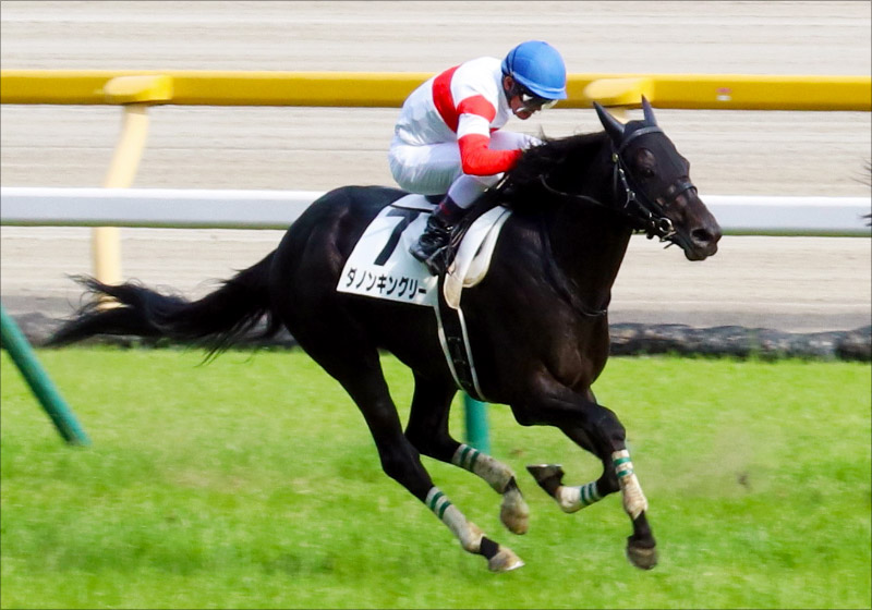 【毎日王冠（G2）展望】JRA安田記念覇者インディチャンプ始動！「マイル中距離の猛者」が集結!!の画像2