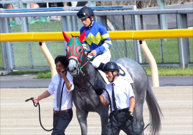 【小倉大賞典(G3)展望】大器ヴェロックス「異例」の参戦!? 荒れるハンデ重賞で粒ぞろいのメンバーが迎え撃つ!の画像5