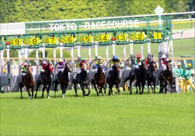 JRA「幻の菊花賞馬」が重賞大楽勝！「この馬が一番強いと思って」昨秋、菊花賞（G1）を除外されたテーオーロイヤルが無尽蔵のスタミナ披露！
