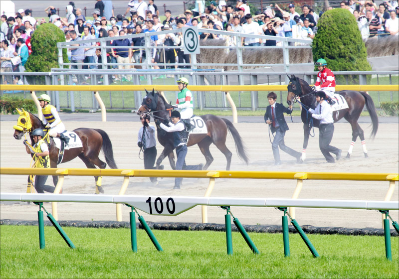 【武蔵野S（G3）展望】ダートの「超新星」レモンポップ5連勝で重賞初制覇なるかの画像3