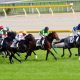 JRA C.ルメール完璧エスコートで「夏休みバッシング」封印!? 人馬揃って“休み明け”コンビが秋G1に名乗り、「ルメさんにやられた」マジックキャッスル惜敗に国枝師も脱帽