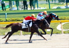 JRA・C.ルメール「7勝」大爆発も川田将雅「痛恨」の0勝……合計8度の1番人気で連にも絡めず、リーディング争いは風前の灯火か
