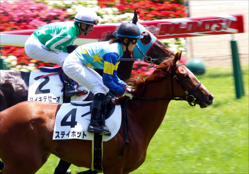 JRA武豊「代打」は大喧嘩も巻き返しの予感!? デムーロ不振脱却の鍵 菜七子キャリア初クラシック意識? 「ONZO」とはナンゾ??【週末GJ人気記事総まとめ】の画像6