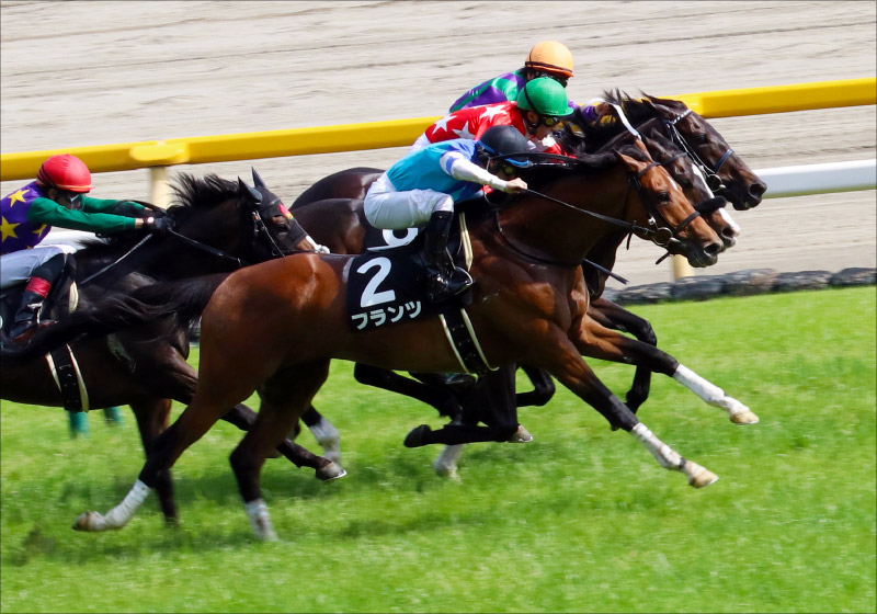 【新潟記念(G3)展望】JRA「飛躍狙う」レイエンダら強豪集結! 夏の新潟で大一番の画像4