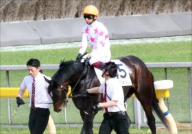 JRAリオンリオン「屈腱炎」が残念過ぎる……セントライト記念圧勝も無念の休養に