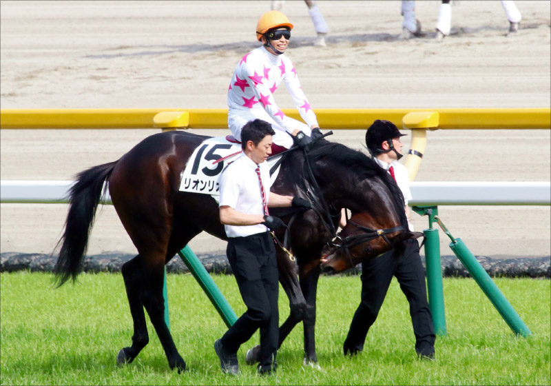 JRAセントライト記念（G2）に「鉄級の◎」を発見！ 関係者「極秘ネタ」から「小点数」で勝負!!の画像2