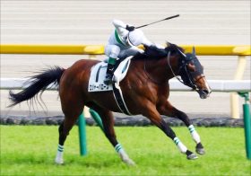 【引退】JRAロジャーバローズ屈腱炎発症。凱旋門賞絶望で落胆大きく……