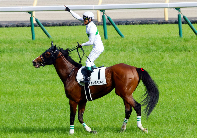 引退】JRAロジャーバローズ屈腱炎発症。凱旋門賞絶望で落胆