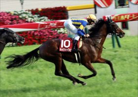 【アルゼンチン共和国杯（G2）展望】JRA府中長距離巧者が集結！ ジャパンC挑戦権を得るのは
