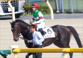 JRA「逆襲」サートゥルナーリア秋へ準備着々「2400は行けるのか」