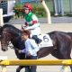 JRA京成杯AH（G3）は3連単6点で余裕？ 関係者情報から大万馬券をいただき？