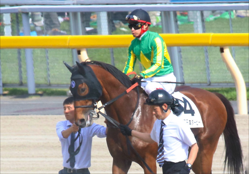 武豊ワールドプレミア「急上昇」JRA菊花賞(G1)直前栗東・美浦情報一挙公開の画像2