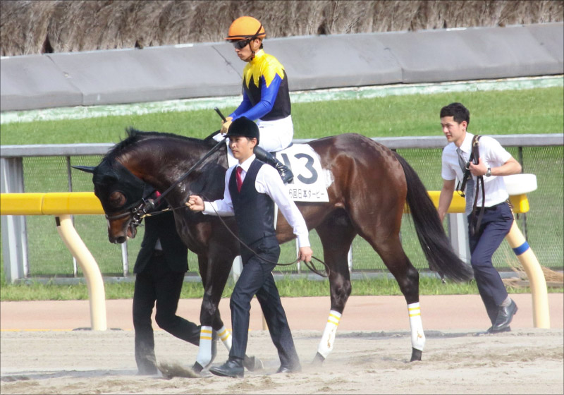JRA有馬記念(G1)武豊ワールドプレミア「自信なさすぎ?」対するヴェロックスは過去最高!? 栗東所属馬現地情報ゲット!の画像5