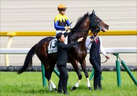 JRA有馬記念（G1）川田将雅×ヴェロックス鬱憤晴らし!? とりあえず同期には勝てそう？