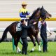 JRA川田将雅「今できる精いっぱい……」も10着。「最強の1勝馬」エタリオウ引退。サウンズオブアースから脈々と受け継がれる“最強馬”の後継はアノ馬!?