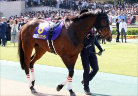 JRAヴィクトリアマイル（G1）ダノンファンタジー「作戦変更」に暗雲!? 前走大幅増から減らない馬体重、「ソフト仕上げ」は果たして正解なのか？