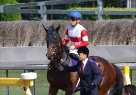 JRA秋華賞（G1）大本命ダノンファンタジー「G1不要」!? 絶好調ダノン軍団が頭を抱える「負の連鎖」とは