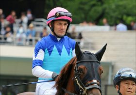 JRA M.デムーロ「消しの法則」が発動!? グラティアスは買えてもアールドヴィーヴルは買えない理由、桜花賞（G1）、皐月賞（G1）で手綱を託された2頭の「決定的な違い」