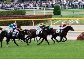 JRAアーモンドアイらG1馬を多数輩出！出世レースは「ノーザンF」期待の良血ククナ＆レゾンドゥスリールVS「実績上位」バスラットレオン【シンザン記念（G3）展望】