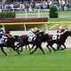 JRA「実は……間違えて」馬名申請!? “珍名馬”アイキャン同意の誕生に「グランアレグリア2世」より注目集まった?