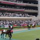 JRA 香港ヴァーズ(G1)武豊「絵に描いたような大団円」感動のラストランから“20年”!ステイゴールドそっくりの息子が父へ捧げる「3勝目」