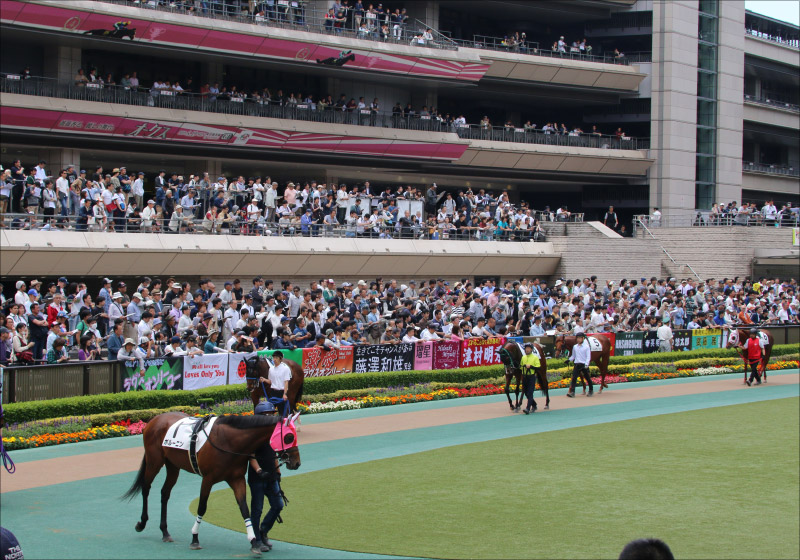 JRA観戦記】13万人が詰めかけた唯一無二の競演。サイレンススズカ