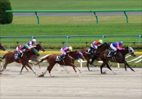 JRA元ジョッキー安藤勝己氏「堅い決着ではないでしょ」発言で大荒れも!? フェブラリーS（G1）昨年惨敗も「東京マイルはピッタリ」の馬とは