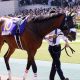 JRA今年未勝利騎手が「53連敗」の大不振! AJCC(G2)で不可解コメント…… カレンブーケドール降板の後遺症か