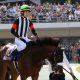 JRA京都記念(G2)「雨の鬼」アメリカズカップ急浮上! 「土曜より日曜の方が馬場も悪くなりそう」陣営も“道悪狙い”徹底