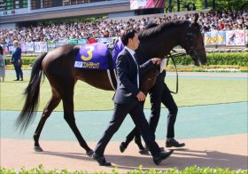JRAグランアレグリアの前に藤沢和雄師が「G1獲り」チャンス!? 「12番人気」の大穴が証明したスプリンターズS（G1）で必要とされるもの