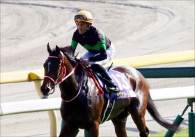 JRAエリザベス女王杯（G1）は「至極の三連単」で余裕!? 有力「現場ネタ」から「オイシイ好配当」を狙い撃ち!!