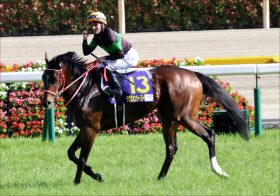 【エリザベス女王杯（G1）展望】「無敗」ラヴズオンリーユーVS「逆襲」クロノジェネシス！ 打倒アーモンドアイへ3歳女王が激突