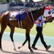 JRAオルフェーヴルやモーリスも越えられなかった「G1・7勝」の壁! アーモンドアイはヴィクトリアマイル(G1)で偉業達成なるか