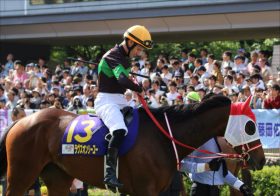 JRAエリザベス女王杯（G1）ラヴズオンリーユーに不穏なウワサ!? 秋華賞10番人気マジックキャッスル2着も予期した『門外不出の関係者ネタ』が激アツ!!