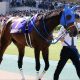 「ドン詰まり」に不満の声続々!? 函館スプリントS(G3)若手有望株・泉谷楓真が経験の浅さを露呈、好走組と明暗分けた決定的な違いとは