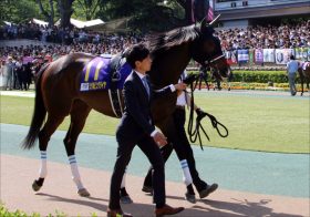 JRA「悲願」シゲルピンクダイヤがローズS（G2）で躍動!? 距離短縮よりいいのが……
