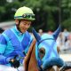 JRA川田将雅ガロアクリーク「菊花賞(G1)回避」は大歓迎!? 角居勝彦調教師、最後のクラシック「秘密兵器」はディープインパクト産駒の長距離砲
