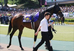 JRAローズS（G2）ウィクトーリアの「自在性」一気のG1獲得へ好走必須